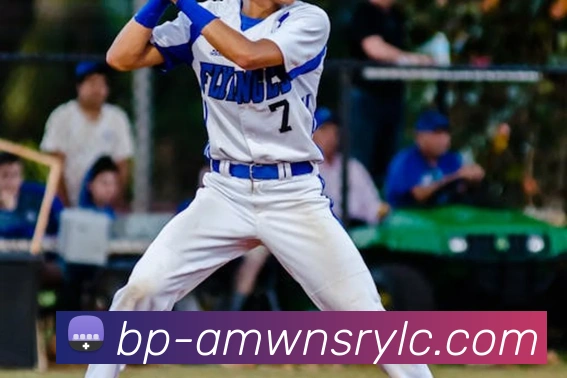 威尼斯人官网发展历程